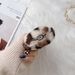 Korean Style Leopard Print Rabbit Ear Pro Earphone 2/3/4 Generation Bluetooth Plush Protective Case For Women_viptrois.com