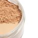 20234Colors Natural Oil Control Face Makeup Finish Loose Powder_viptrois.com