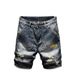 Men's Clothing 2025 Summer Loose Straight Trend Casual Pants Korean Summer Wear Trendy Brand All Match Shorts_viptrois.com