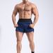Men's Clothing Summer Thin Running Quick Drying Sports Shorts Fitness Marathon Training Three Point Pants_viptrois.com