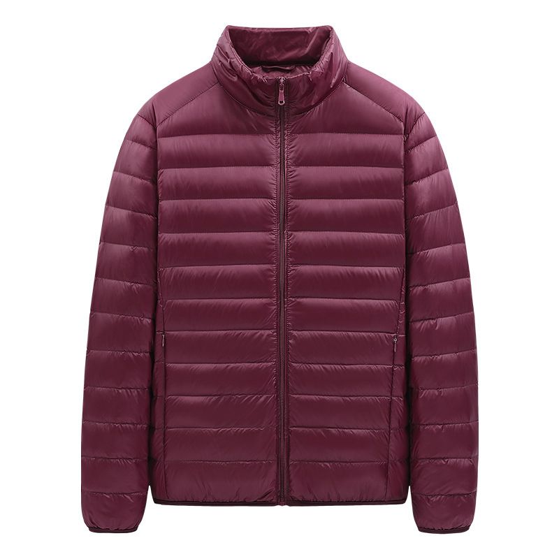 Men's Lightweight Down Jacket With 90% White Duck Down, Stand Collar Slim Fit Winter Coat For Casual & Urban Style_viptrois.com