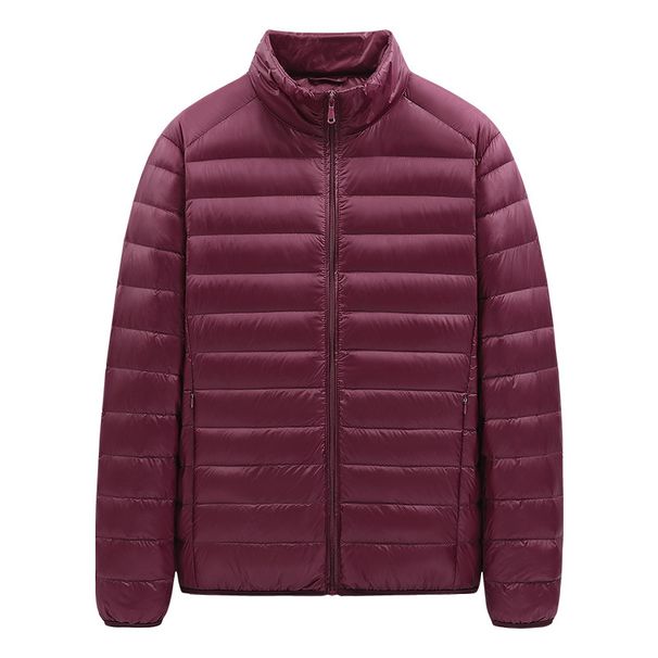 Men's Lightweight Down Jacket With 90% White Duck Down, Stand Collar Slim Fit Winter Coat For Casual & Urban Style_viptrois.com