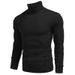 Men's Clothing Turtleneck Autumn And Winter Sweaters Long Sleeved Pullover Sweaters_viptrois.com