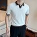 Men's Casual Polo Shirt Slim Fit Breathable Knit Short Sleeve T-Shirt Wrinkle-Free Business Casual Summer Top_viptrois.com