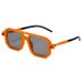 Double Beam Square Frame Sunglasses - Plastic Trendy Style (European & American Internet Celebrity Look, Unisex)_viptrois.com