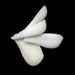 Height Enhancing Insoles In Socks Silicone Invisible Height Enhancing Pads White Elastic_viptrois.com