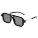 Double Beam Square Frame Sunglasses - Plastic Trendy Style (European & American Internet Celebrity Look, Unisex)_viptrois.com
