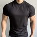 Men's Clothing Summer Sports Outdoor Training Short Sleeved Slim Elastic Quick Drying Raglan Sleeves Small Collar Solid Color Breathable Tide T Shirt_viptrois.com