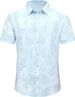 Men's Hawaiian Short Sleeve Button-Down Shirt Casual Summer Beach Tropical Clothing_viptrois.com