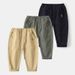 Children's Pants Wholesale New Boys' Casual Trousers Korean Style Baby Embroidered Pants One Piece Trendy_viptrois.com