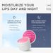 QUIYUM Sakura Sleeping Lip Mask 15g Hydrating Moisturizing Lip Balm Softens Cuticle Moisturizing_viptrois.com