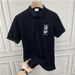2025 Summer Handsome, Trendy, High-end Men's Collar Niche Top New Fashion Trend Versatile Polo Shirt_viptrois.com