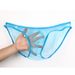 Pulse Comrade Men's Underwear European And American Style See-through Fine Mesh Pouch Low Waist Briefs Plus Size C-034_viptrois.com