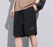 Men's Clothing Men's Casual Shorts Summer Ice Silk Thin Shorts Wide Versatile Loose Straight Workwear Shorts Men's_viptrois.com