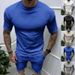 Men's Clothing Summer Solid Color Shorts Short Sleeved Round Neck T Shirt Sports Casual Suit Two Piece Set_viptrois.com