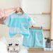 Boys' Summer 2025 New Small And Medium Sized Children's Wear Casual Short Sleeved Shorts Two Piece Set Trendy_viptrois.com