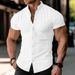 Men's Clothing Short Sleeved Cool Stand Up Collar Handsome Trend Summer Shirt Tops_viptrois.com