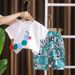 2025 New Children's Summer Outing Cotton Boy And Girl Cartoon Style Short Sleeve Set_viptrois.com