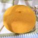 New Korean Version Parent-Child Wool Solid Color Autumn Winter Warm Internet Celebrity Fashion Beret Pumpkin Hat_viptrois.com