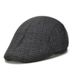 Sale Autumn Winter New Plaid Woolen Hat For Middle-aged Men And Women Newsboy Cap_viptrois.com