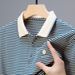 2024 Summer New Shirt Men's Polo Collar Thin Middle And Elderly T-shirt Short Sleeved Striped Top_viptrois.com
