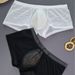 Pulse New Semi-Transparent Sexy Men's Erotic Cross-Border Hot-Selling Boxer Briefs, European Size_viptrois.com