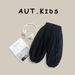 Kid's Clothing Boys Pants Spring And Autumn Wear New Children's Loose Bloomers Of Small And Medium Children's Casual Wide Leg Pants_viptrois.com