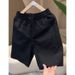 2025 Summer Thin Breathable Simple Shorts Men's Fashion Trend Mid Length Pants Youth All Match Casual Shorts_viptrois.com