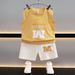 Boys Summer Sleeveless 2024 New Children's Summer Clothing Sports Fashionable Boy Vest Handsome Loose Suit Wholesale_viptrois.com