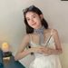 Korean Style Blue Plaid Narrow Long Silk For Women High-end Versatile Neck Scarf Thin 2025 New Model_viptrois.com