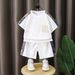 2025 New Children's National Style Embroidery Short Sleeved Shorts Suit Boys Summer Thin Style Casual Two Piece Suit_viptrois.com