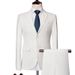 Men's slim suit two-piece men's plus-size casual solid color wedding dress suit_viptrois.com