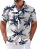 Men's 3D Digital Print Short Sleeve Shirt Hawaiian Style Creative Top for European And American Independent Websites Cross Border Foreign Trade_viptrois.com