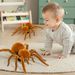 Children's Trick Toy Simulation Electric Little Spider Baby To Tease Learning To Crawl Insects Boy Gift Funny Gadgets_viptrois.com